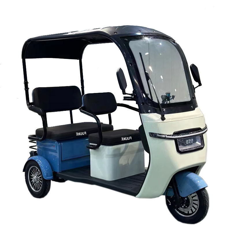 Electric Bicycle with Roof 2025 New Design, 300kg Load