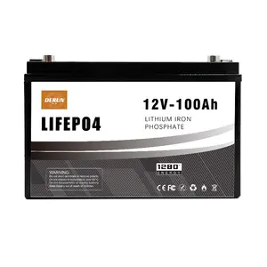 12V 24 Volt pin Lithium ion 300ah 200AH 150AH 100Ah Pin LiFePO4