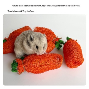 Jouets naturels en loofah pour lapins et cochons d'Inde : jouet carotte, accessoires de mastication pour le nettoyage des dents molaires - Product Image 4