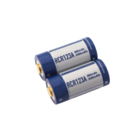 Keeppower P1634U1 RCR123A Micro USB 16340 3.0V 860mAh Protedted Batterie Lithium Rechargeable en paire