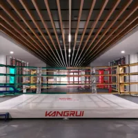 MMA Boxing Ring for Gym, Training, Sports, Cage, Customized