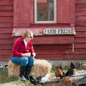 Plaque Métallique Vintage « Œufs Frais de la Ferme » – Décoration Murale Rétro Lait et Œufs pour Poulailler, Cuisine de Campagne, Ferme et Décoration de Fermeur - Product Image 4