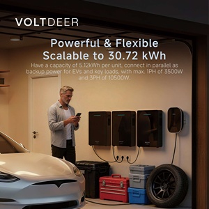 VOLTDEER Balcony PV Systems Complete Solar Energy System Generator Home Storage <b>Plug</b> & Play Compatible With Any PV <b>Remote</b> Contro - Product Image 2