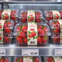 Transparante, opvouwbare fruitdoos van PET, clamshell verpakking, wegwerpbaar, voor aardbeien, druiven en bosbessen