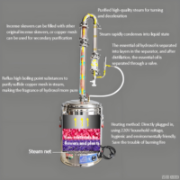 Colonne de cristal en acier inoxydable pour la diffusion de parfum, colonne de diffusion d'huiles essentielles, distillateur d'huiles essentielles, purification d'huiles essentielles florales, hydrolat