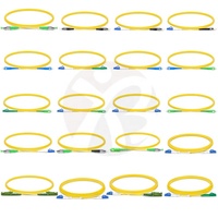 Kabel Patch Cord Optik Single-mode SC APC UPC 9/125μm SC-SC/ST/LC/FC 1M 50M Grosir Pabrik