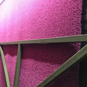 HANWEI Thảm Cỏ Astro Màu Hồng Cỏ Giả Ngoài Trời Thảm Giả Cỏ Nhân Tạo Màu Hồng Nhựa Chống Tia Cực Tím Csped Nhân Tạo - Product Image 3