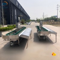 Veelzijdige doosgewicht sorteermachine automatische sorteerapparatuur efficiënte sortering voor ronde fruit- en groenteproducten
