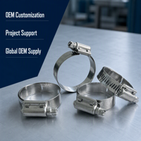 15.8mm Wide 0.7mm Thick 304 Stainless Steel American Type Hose Clamp for High Pressure Pipe Fixing Heavy Duty Fastener