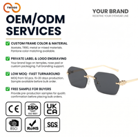Lunettes de soleil sans monture TWOOO T1907 avec logo personnalisé OEM, protection UV400, unisexe, mode, conduite, extérieur, vente en gros, directement de l'usine, pour hommes et femmes