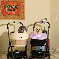 Nouvelle Coussinette Magnétique Double Face en Tissu Style Coréen Ourson Mignon JXANRY pour Poussette d'Animal de Compagnie avec Protection de Bordure