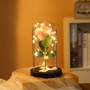 Mái Vòm Thủy Tinh Hoa Hồng Trang Trí Thủ Công Mỹ Nghệ, Quà Tặng Bán Chạy Nhất, Mái Vòm Thủy Tinh Ánh Sáng Ấm Áp, Đế Nhựa Hình Hoa - Product Image 4