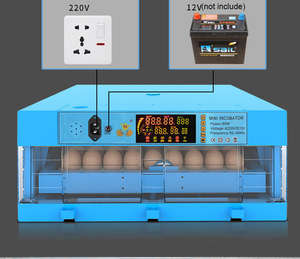 Incubateur d'œufs automatique à alimentation unique 12V 220V pour œufs de dinde, d'émeu, d'oie et d'oiseaux, avec un taux d'éclosion élevé - Product Image 5