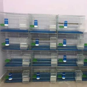 Ventes en gros de cages d'élevage pour perroquets et lézards en acier inoxydable épaissi, modernes, avec plateau en plastique solide - Product Image 5