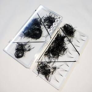 Extensiones de Pestañas Pre-fabricadas 14D de Pelo Sintético Suave y Liso, Volumen Completo, Fáciles de Aplicar, Caja de 500 Fans, Distribución Uniforme, Belleza - Product Image 2