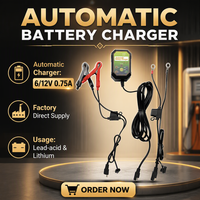 Chargeur de batterie portable haute efficacité 6/12V automatique avec connexion par prise, entrée 110-220V, garantie 1 an
