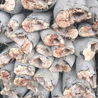 Poisson d'huile entier IQF surgelé, sauvage et capturé en haute mer, sans os, avec peau, pour exportation, distribution en vrac, emballage sous vide