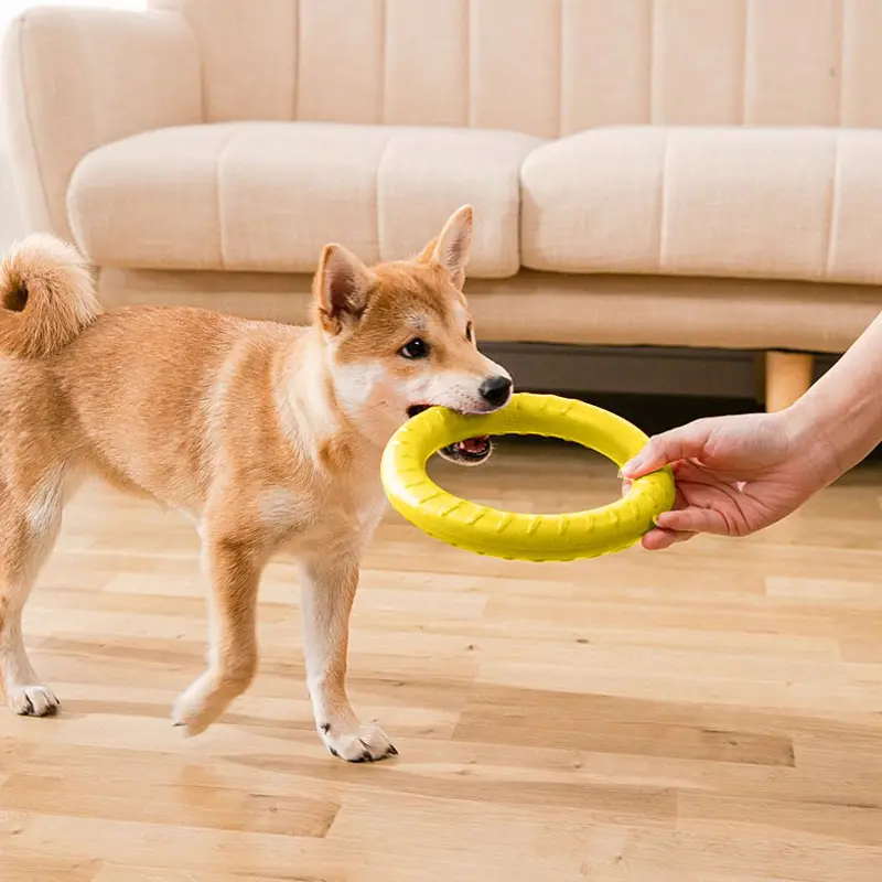 Vendita calda anello indistruttibile durevole cane masticare giocattolo pulizia dei denti per cuccioli dentizione cani masticare ciambella dura giocattoli per animali domestici