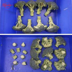 <span class=keywords><strong>2025</strong></span> mới tự động động cơ súp lơ và Bông Cải Xanh gốc hoa Máy cắt - Product Image 6