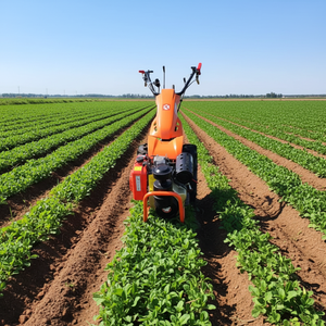 Motocultor Diésel de 10 HP Refrigerado por Agua |   Tractor Agrícola para Labranza, Cultivo y Operaciones Agrícolas - Product Image 2