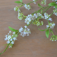 Accessoires de photographie en plastique classiques pour la décoration intérieure, saule enneigé artificiel à 5 branches, accessoires de mariage réutilisables, vente en gros