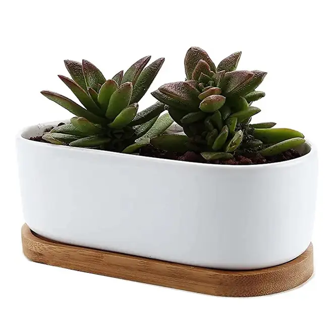 Suporte de cerâmica oval para decoração, suculento de cerâmica oval com bandeja de bambu para decoração de plantas para escritório em casa