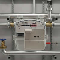 Compteur d'eau Itron LoRaWAN/NB-IoT avec lecteur d'impulsions et prise en charge multi-fréquences (EU868, AU915, AS923, IN865-867) Nb Iot