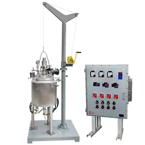 WHGCM NEW 30L Factory Price Stainless Steel 904L Reactor with 30 bar and lifting device