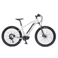 Sepeda Listrik Zoll 1000W 29, Sepeda Listrik, Suspensi Kecepatan, Sepeda Motor/Off Road, Sepeda Listrik Pria