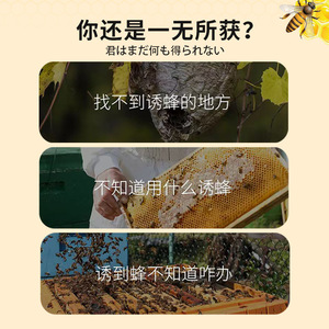 น้ำยาล่อผึ้งอ๋อเจียน 100 มล. สำหรับการเลี้ยงผึ้งในร่ม - Product Image 2