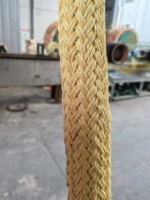 Corde en UHMWPE/HMPE/Spectra à 12 brins haute résistance avec revêtement en polyester pour amarrage maritime/towing/treuil/offshore/pêche/câble de remorquage/tireur