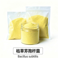 Bacillus Subtilis 100 milliards UFC/g Enzymes universelles de qualité alimentaire à croissance multi-étapes pour la digestion et la nutrition – Aliment de démarrage et de croissance