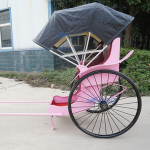 Rickshaw Blanco de Dos Ruedas Usado para Alquiler, Estilo del Sudeste Asiático, para Negocios de Turismo, Neumáticos de Goma Sólida, 2 Años de Garantía, Precio Bajo - Product Image 6
