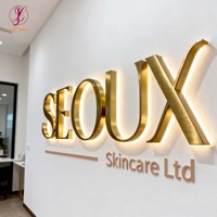 Enseigne lumineuse LED personnalisée avec logo 3D, finition métallique, lettres rétroéclairées or mat pour la réception de l'entreprise ou du bureau