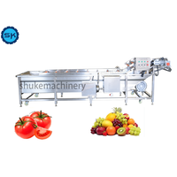 Automatische fruit- en groentenreinigingsmachine met nanobellen en motor - milieuvriendelijk merk SK