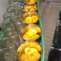 Volautomatische Ingeblikte Olijvenproductielijn/Ingeblikte Fruitverwerkingslijn