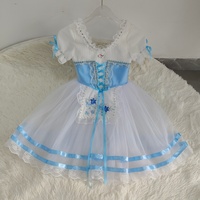 BT2607231015 Livraison rapide, costumes de danse espagnole pour enfants, filles, femmes, adultes, tutu bleu romantique pour la danse classique