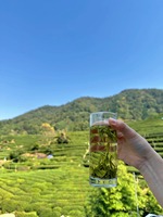 Thé de printemps fait à la main OEM de haute qualité Hangzhou Dragon Well Organic Longjing Mingqian Long Jing Bulk Loose Tea Box Packaging