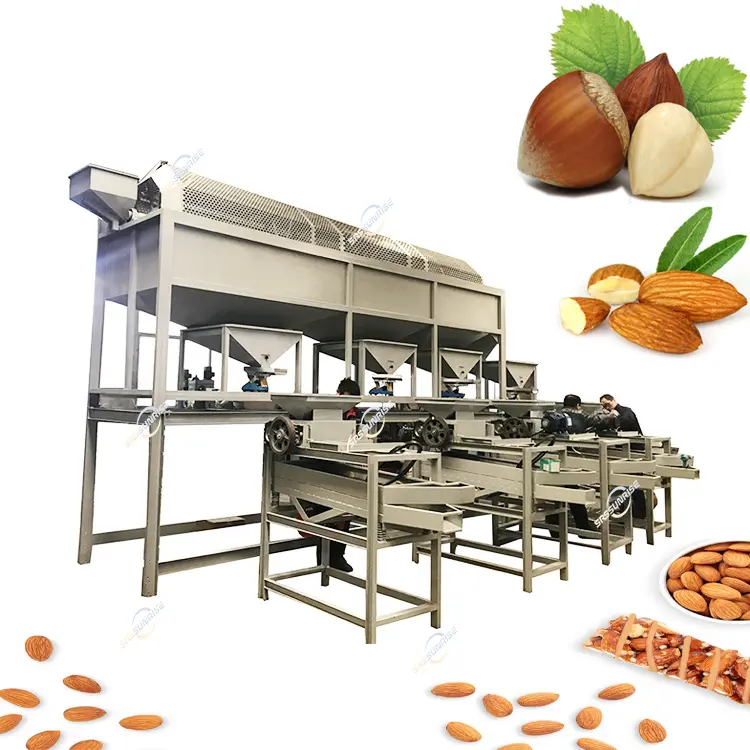 Ligne entièrement automatique de machines de criblage de noix de noix décortiquant des machines de traitement d'amande