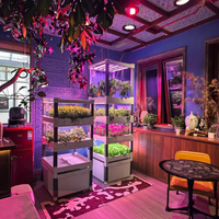 Équipement d'irrigation et d'hydroponie modulaire écologique 180W avec éclairage LED pour culture verticale intérieure