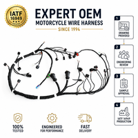 Assemblaggio Personalizzato di Cablaggi per OEM e Motociclette con Isolamento in Nylon - Servizio OEM/ODM