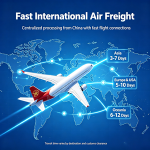 Transport Multimodal DDP Fret Maritime Chine vers États-Unis, Fret LCL, Dédouanement et Livraison Porte-à-Porte - Product Image 2