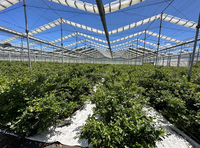 Fournisseur de serres Jiapei, serre à toit rétractable automatique en X, serre d'ombrage pour fraises, framboises, arbres