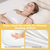 Oreiller Cushion Lab Deep Sleep, design ergonomique breveté pour les dormeurs sur le côté et sur le dos, forme cervicale orthopédique pour un soutien doux