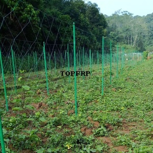 เสาค้ำต้นไม้ไฟเบอร์กลาสคุณภาพสูง ทำจากท่อ FRP - Product Image 3