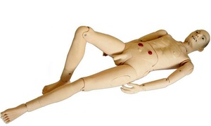 Đào Tạo Điều Dưỡng Cho Người Cao Tuổi Đầy Đủ Chức Năng Manikin Với Chức Năng Mô Phỏng Huyết Áp - Product Image 2