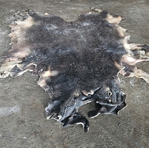 Wholesale Double Faced Wet Salted Buffalo Hides and Cowhides Large Size <b>Raw</b> <b>Skins</b> for Leather Sofa and Shoes Making - Product Image 4