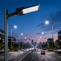 Luz de Calle LED de Alta Calidad para Exteriores, 50w 100w 150w 200w con Lámpara COB, Impermeable IP65