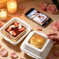 Boîte à gâteau en pulpe moulée compostable jetable avec fenêtre transparente carrée, biodégradable, pour tiramisu, mousse, crème, pâtisserie