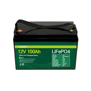 Batteria BELIFINE ricaricabile Lifepo4 12v/24v/36v/48v 50ah 60ah 100ah 120ah batterie agli ioni di litio per triciclo elettrico AGV
